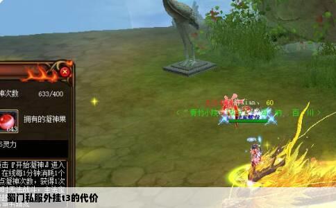 蜀门私服外挂t3的代价